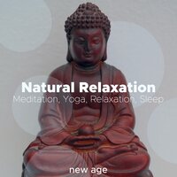 Namaste - Yoga Music - Thunderstorm Forecast & Relaxation J. Trainer & Relaxation J. Trainer & Thunderstorm Forecast