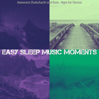 Background for Resting - Easy Sleep Music Moments