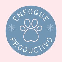 Enfoque determinado - Estudio sostenido & Atención Plena & Disciplina enfocada