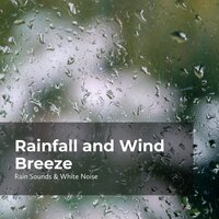 Breezy Pouring Rain - Rain Sounds & White Noise & Raindrops Sleep & Sleep Rain
