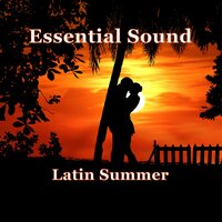 Brazilian Fusion - Paul Gelsomine