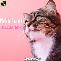 Neko Punch - AKR-FITW