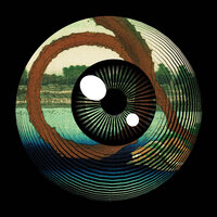 Tokyo Haku Synchronicity #089 Full Moon Pine - Cam Lasky