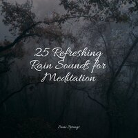 Morning Window Rain - Meditation Relaxation Club & Nature Sounds & Rain Sounds & Avslappning Sound & Deep Relaxation Meditation Academy