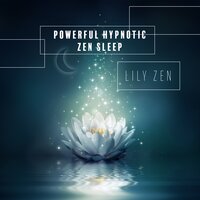 Soft Dreams - Lily Zen