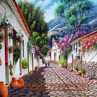 Las Mirlas - Grupo Montenegro