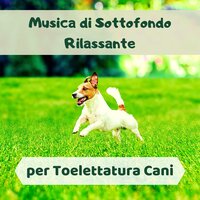 Occhi neri (canzone per il mio cane) - Musica Spa