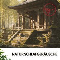 Erholsame Melodien - Ruido Blanco Hart & Sleeping Music & Schlafmusik