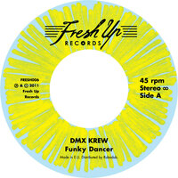 That Wild & Freaky Robot Funk - DMX Krew