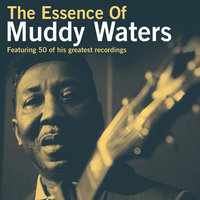Kindhearted Woman - Muddy Waters