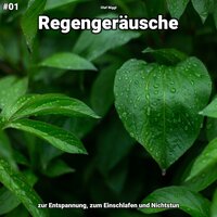 Regengeräusche, pt. 5 - Olaf Niggl