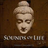 Numbs of Tears - Thibaut Falgairette & Laetitia Botti