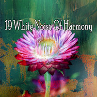 Небесный фокус - White Noise Relaxation