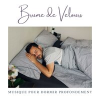 Douce Musique de Piano pour Dormir - Musique pour Dormir Profondement