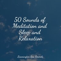 Ambient Sounds - Rest & Relax Nature Sounds & Tailormade Ocean Waves & Rain Sounds Sleep