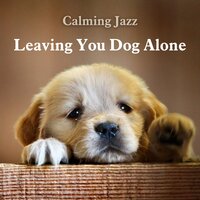 Sleepy Dog - Music for Dogs Peace & Jazz Music for Dogs & Dogs Jazz