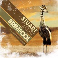 Brimfool - Stuart Ojelay
