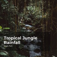 Explore the Woods - Nature and Rain & Deep Rain Sampling & Jungle Rain