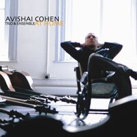Renouf's Last Tooth - Avishai Cohen