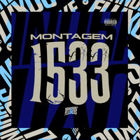 Montagem 1533 - DJ TERLESQUI