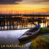 Bamboo (Musica para el Alma) - Naturaleza
