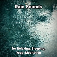 Rain Sounds for Relaxing Pt. 48 - Nature Sounds & Rain Sounds & Regengeräusche