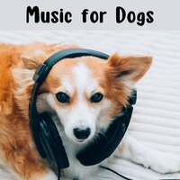 Pet Therapy - Music for Dogs & Music for Dogs Peace & Relaxing Puppy Music & Calm Pets Music Academy