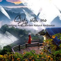 Soothing Asian Garden Natural Ambience, Pt. 19 - Sebastian Riegl