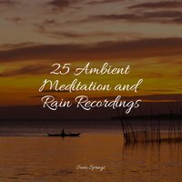 Rainy Summer - Nature Chillout & Serenity Spa Music Relaxation & Baby Relax Music Collection