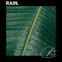 Natural sound of Street Rain in Forest in Quiet Night improve your memory - Rain Sounds For Sleep & Rain Sounds Factory STHLM & Rain Recordings