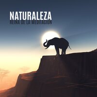 Poesía al Final del Día - Relajación Meditar Academie