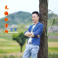 红尘所爱 - 王平