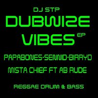 Inity & Harmony (feat. Sennid) - Dj Stp & Sennid