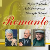 O lume intreaga se intreaba - Nelu Ploiesteanu