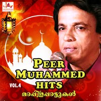 Rijisabha Thalir Kulir Katte - Peer Muhammed