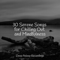 Sanctuary of Sleep - Natural Sound Makers & Water Sound Natural White Noise