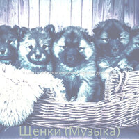 Чувство (Щенки) - Музыка для собак