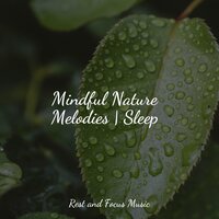 A Walk in the Woods - Binaural Beats Isochronic Tones Lab & Asian Zen: Spa Music Meditation & Tinnitus Aid