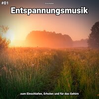 Entspannungsmusik pt. 61 - Einschlafen