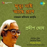 Amra Bharat E Manchitrer Bharatbarso - Pradip Ghosh