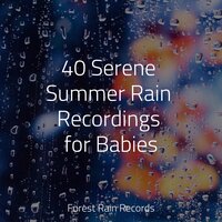 Gentle Rain Drops - The Rainforest Collective & Alpha Brain Waves & Entspannungsmusik Oase