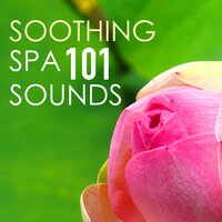 Reaching Awareness - Soothing Music Ensamble