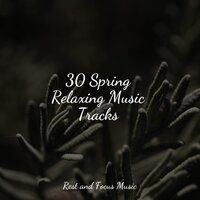 Kiso Circles - Relaxation Music Guru & Meditative Music Guru & Binaural Beats Brainwave Entrainment