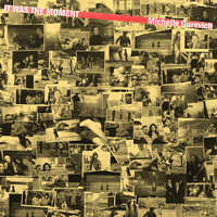 Pictures on the Wall - Michelle Gurevich