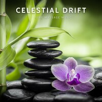 Sleepy Dragonfly - Pure Massage Music