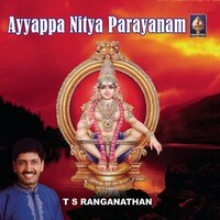 Srithanada - T S Ranganathan