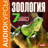 Учебник. «7 класс. Зоология». Часть 34 - Серебрянская Виктория