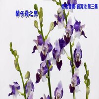 淡水河邊 - Qing Chi Liu