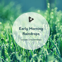 Rain Feeding Roots - Nature Atmospheres & Nature Sounds Nature Music