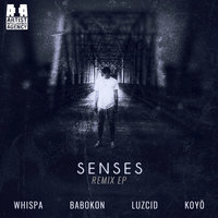 Senses - Prismo & LUZCID